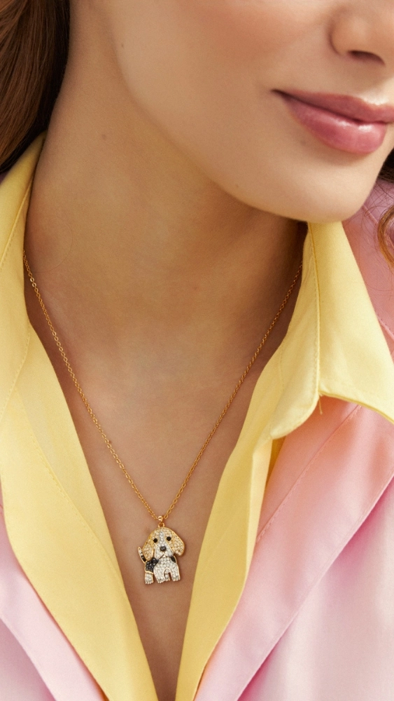 Encontre Tudo da Sua Coleção Favorita