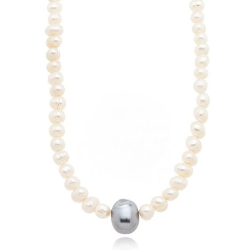 Colar Perola de Água Doce e Shell no Banho de Ouro 18k