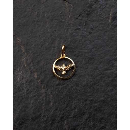Pingente Banhado A Ouro 18K Espírito Santo