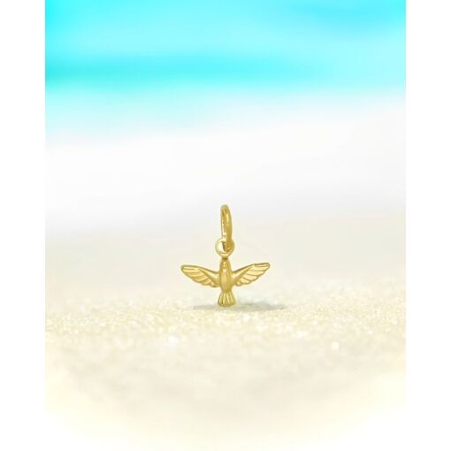 Pingente Banhado A Ouro 18K Espírito Santo