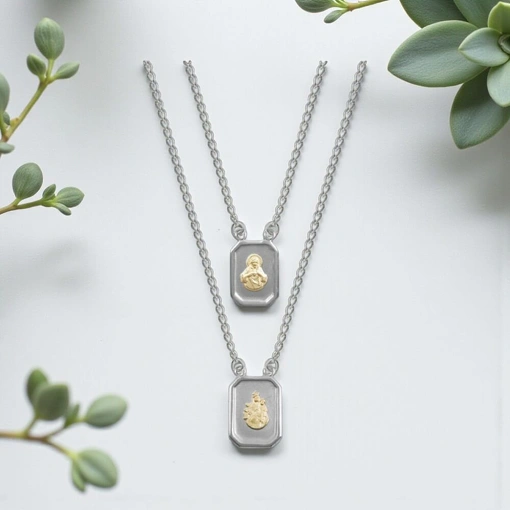 Escapulário Aço Mini com Ouro 18k NSra Carmo Sagrado Coração