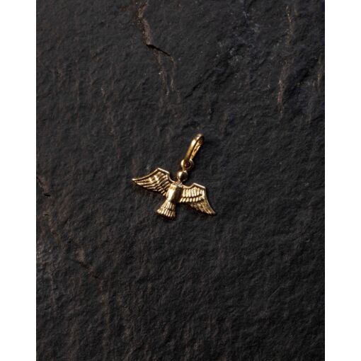 Pingente Banhado A Ouro 18K Espírito Santo