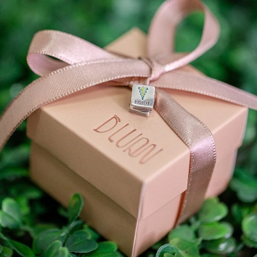 Berloque Prata 925 Livro Fisioterapia