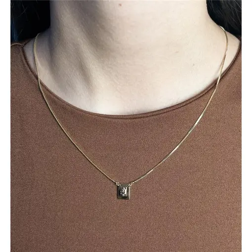 ESCAPULÁRIO VENEZIANA PINGENTE PLACA SAGRADO CORAÇÃO DE JESUS E