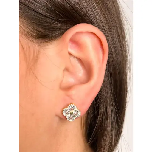 BRINCO FLOR CRISTAL REDOR CRAVEJADO CENTRO EM ESFERA LISA | BANH