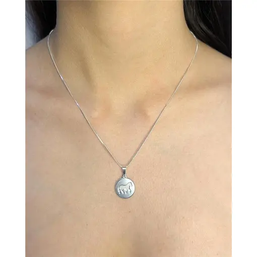 COLAR VENEZIANA PINGENTE CHAPA REDONDA LISA CENTRO CAVALO TEXTUR