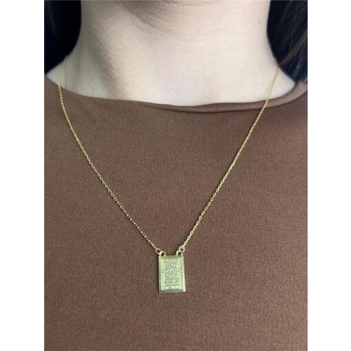 ESCAPULÁRIO ELO CARTIER PLACA DEUS É FIEL | BANHADO EM OURO 18K