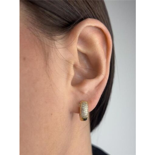 ARGOLA MICROCRAVEJADO CRISTAL ZIRCÔNIA | BANHADO EM OURO 18K