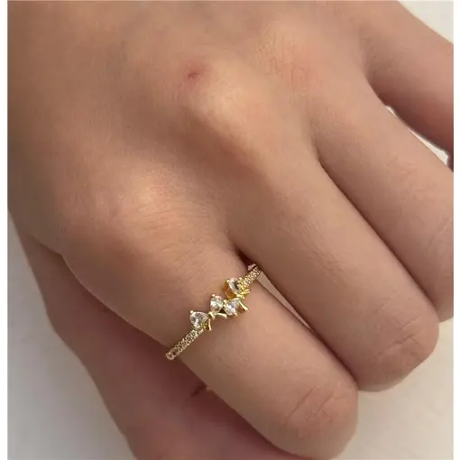 ANEL ARO LISO FRENTE CRAVEJADA CENTRO 2 LAÇOS EM CRISTAIS | BANH