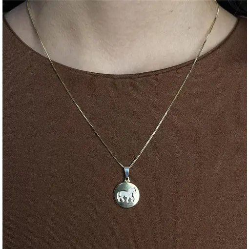 COLAR VENEZIANA PINGENTE MEDALHA LISA CENTRO CAVALO EM | BANHO D