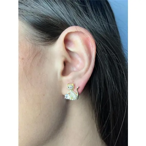 BRINCO GATO CRAVEJADO COM CRISTAL REDONDO 4 GARRINHAS | BANHADO