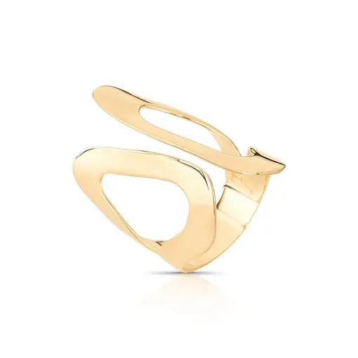 ANEL ORGÂNICO BANHADO OURO 18K - METAL DOURADO