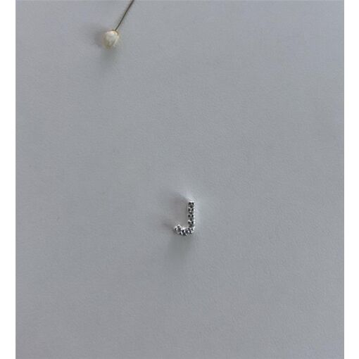 PINGENTE LETRA CRAVEJADO