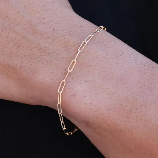 PULSEIRA LINHA MASCULINA ELO CARTIE 3MM COM FECHO GAVETA - 21CM