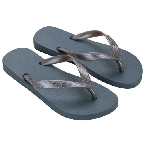 Chinelo Ipanema Clássica Feminina - 6466