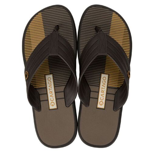Chinelo de Dedo Cartago Montreal Masculino - 11729