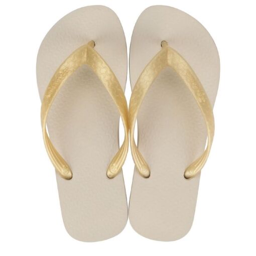 Chinelo Ipanema Clássica Feminina - 6466