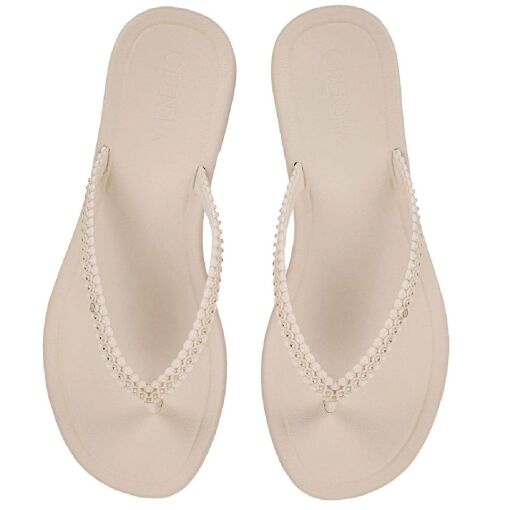 Chinelo Grendha Todo Dia Conquista - 19158