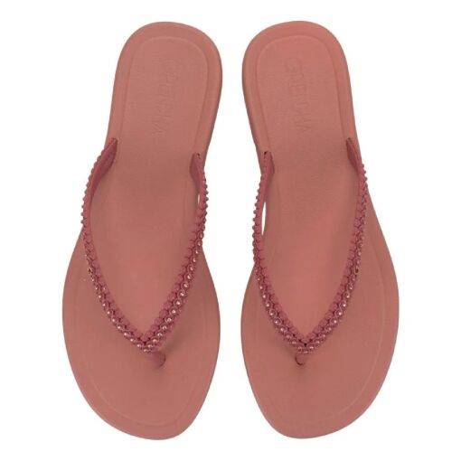 Chinelo Grendha Todo Dia Conquista - 19158