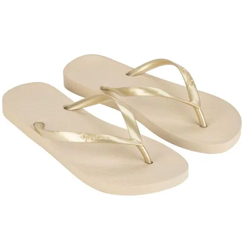 Chinelo Feminino ipanema Classica Fine - 26603