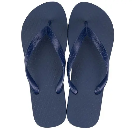 Chinelo Masculino Ipanema Classica - 5320