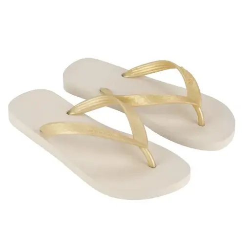 Chinelo Ipanema Clássica Feminina - 6466