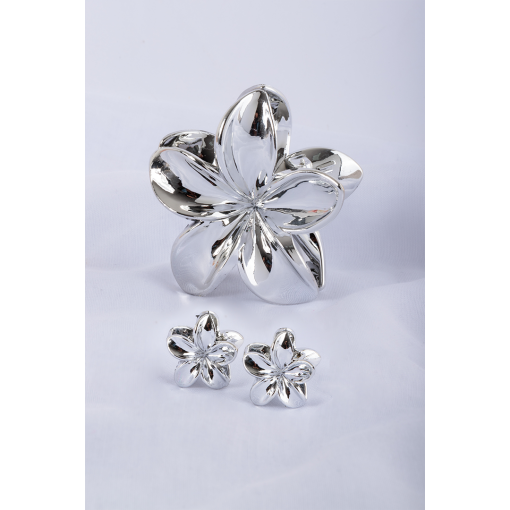 Conjunto Presilha Lírio Prateada