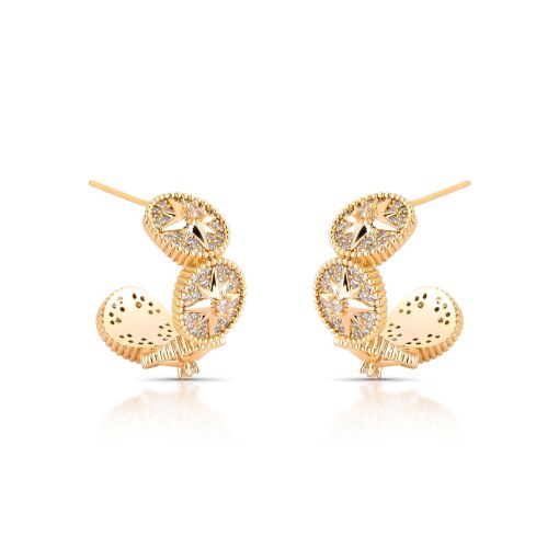 Brinco Argola Roses des Vents Pino em Prata 925