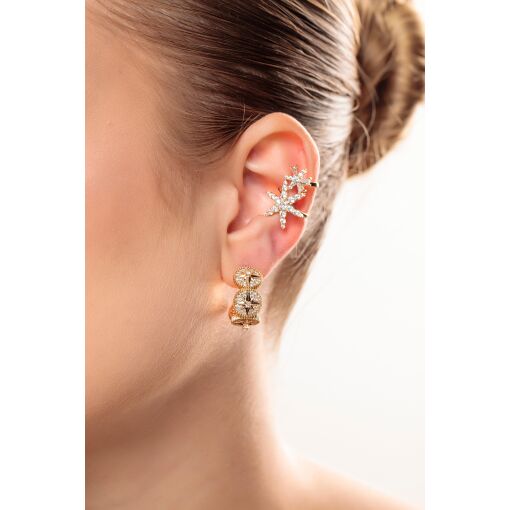 Brinco Argola Roses des Vents Pino em Prata 925