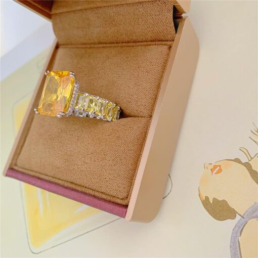 ANEL LUXO BAGUETADO TRIP