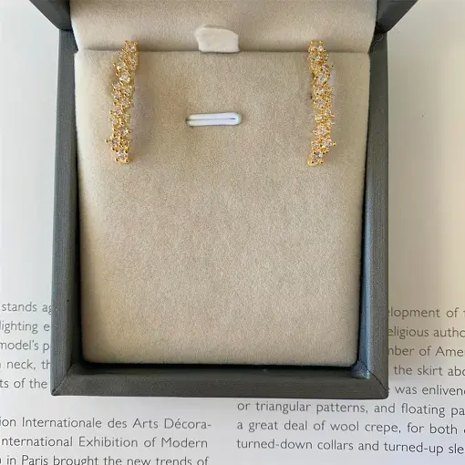 BRINCO EAR HOOK CRAVEJADO DOLCE FIORE