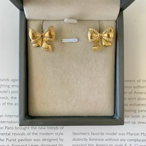 BRINCO LAÇO ESCOVADO CRAVEJADO BN SENSE OF SPRING