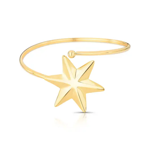 BRACELETE ABERTO COM ESTRELA DO MAR LISA