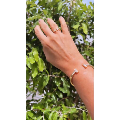 PULSEIRA