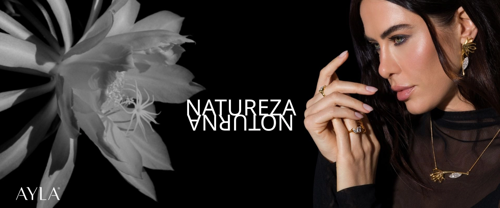 Natureza Noturna 26