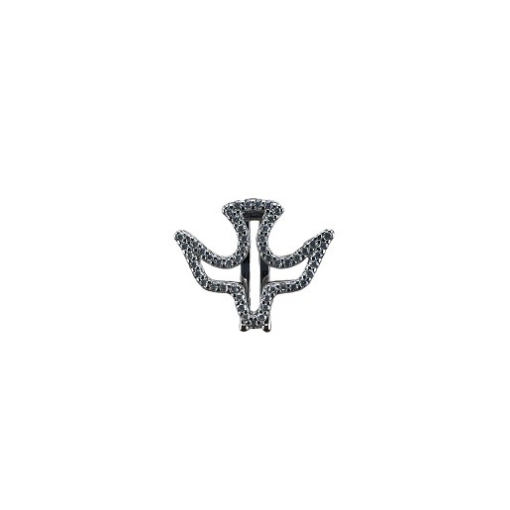 CHARM DIVINO