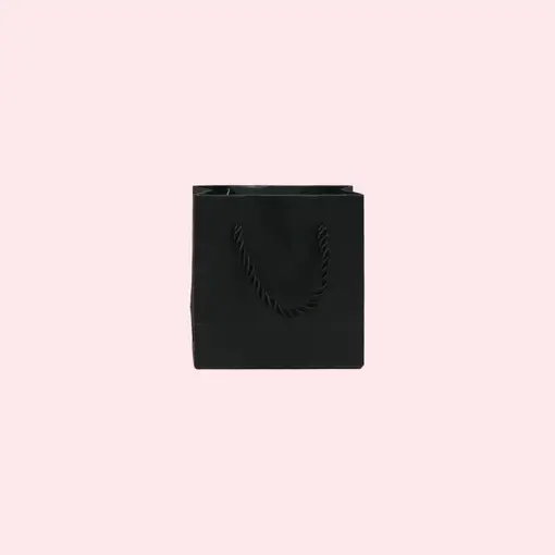 SACOLA LISA 10X10 SL1 C/10