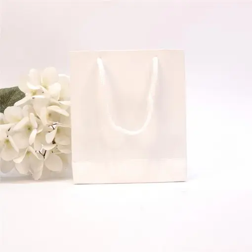 SACOLA LISA 13X15 S4 C/10