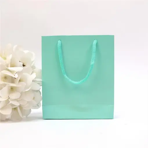 SACOLA LISA 13X15 S4 C/10