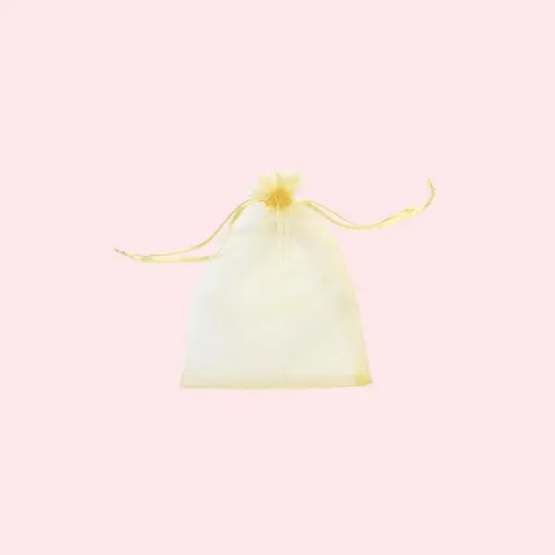 EMBALAGEM SAQUINHO ORGANZA 9X12CM COM 10 UNIDADES