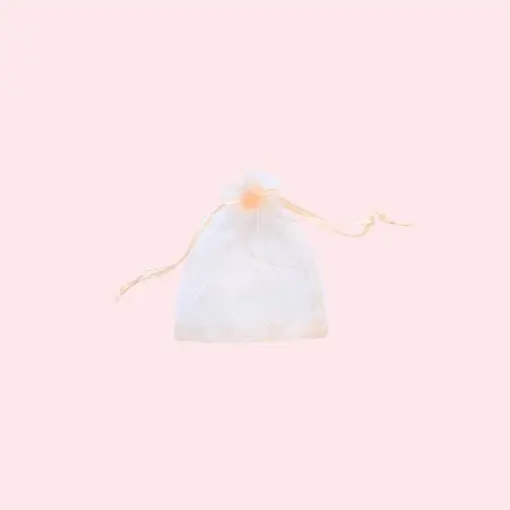 SAQUINHO ORGANZA SIMPLES 09X12 C/10