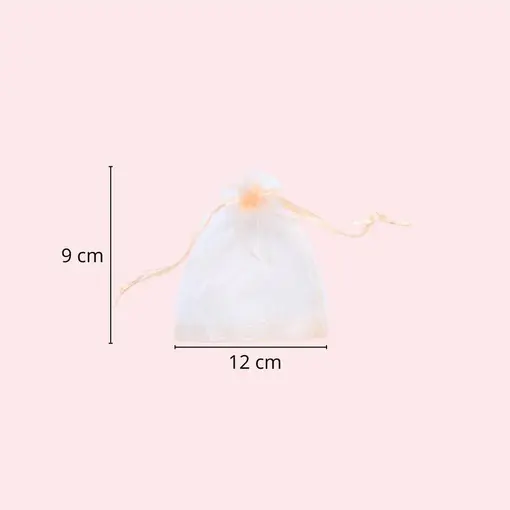 SAQUINHO ORGANZA SIMPLES 09X12 C/10