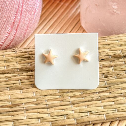 Brinco Estrela Esmaltado de Prata