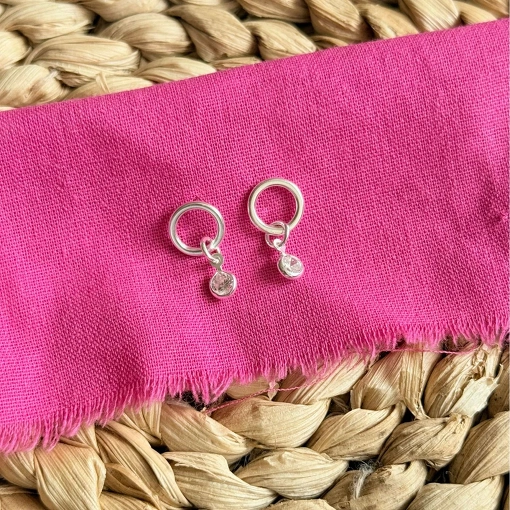 Brinco Circulo com Zirconia Organico de Prata