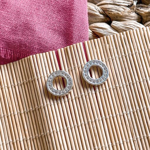 Brinco Circulo com Zirconias de Prata