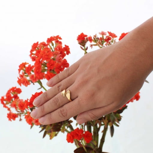 Anel do abraço regulável