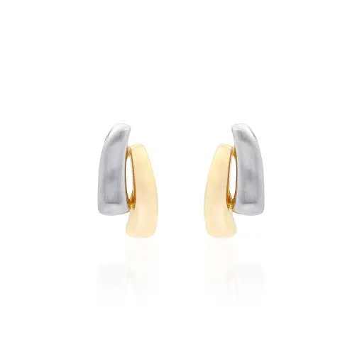 BRINCO DUAS HASTES UMA LISA E OUTRA FOSCA