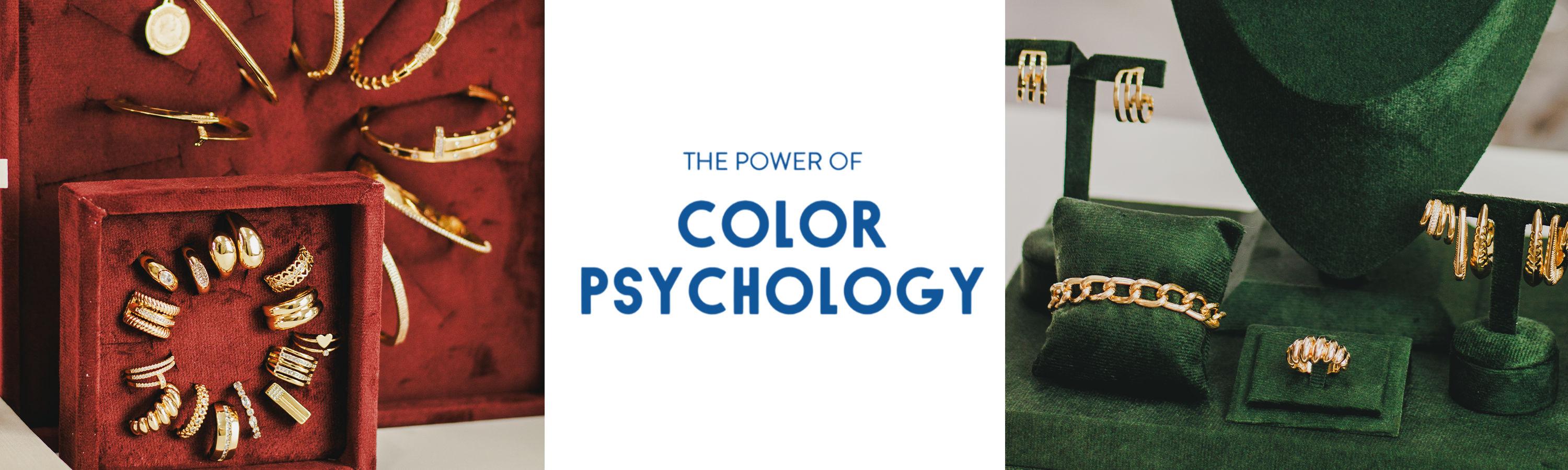 Vitrine importa (mais do que você imagina)