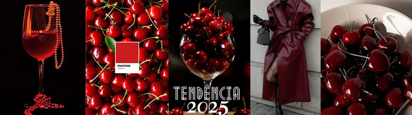 5 Kits Expositores para sua Vitrine em 2025