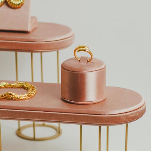 EXPOSITOR ANEL VICENZA